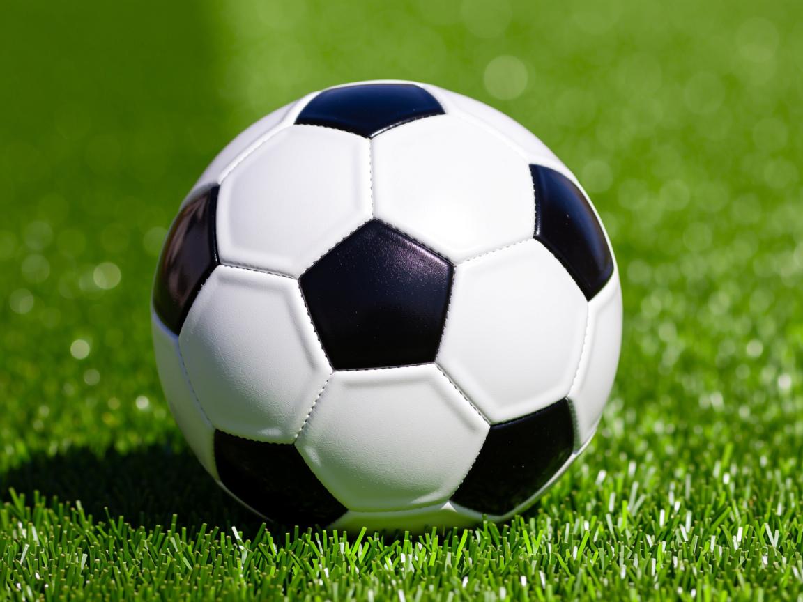 米兰体育赛事-体育新闻中心建设高校体育新闻实训基地示范项目，学校体育新闻稿范文  第3张